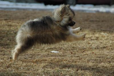 Feb12b_05_069.JPG
