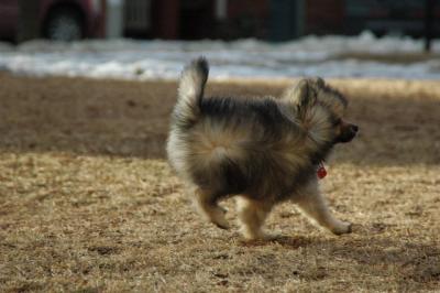 Feb12b_05_070.JPG