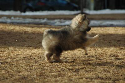 Feb12b_05_071.JPG