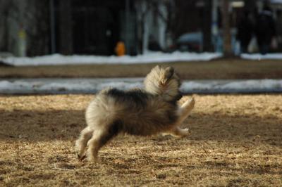 Feb12b_05_072.JPG