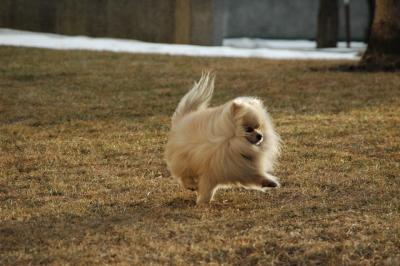 Feb12b_05_073.JPG