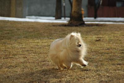 Feb12b_05_074.JPG