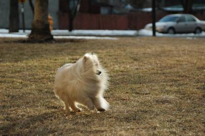 Feb12b_05_075.JPG