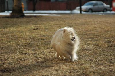 Feb12b_05_076.JPG
