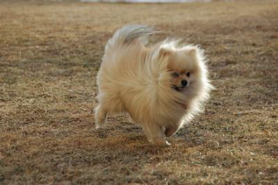Feb12b_05_078.JPG