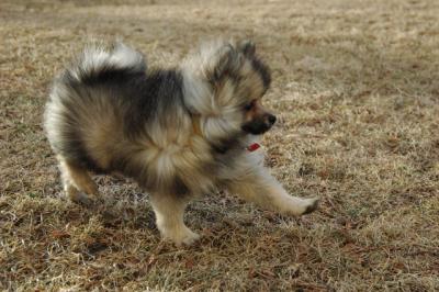 Feb12b_05_079.JPG