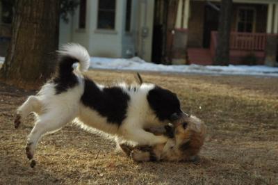 Feb12b_05_084.JPG