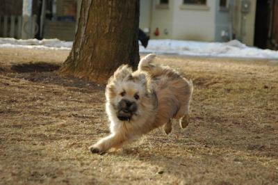 Feb12b_05_085.JPG