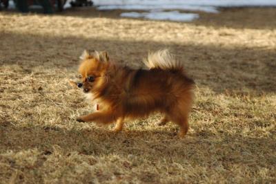 Feb12b_05_087.JPG