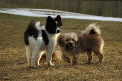 Feb12b_05_089.JPG