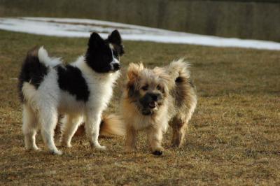 Feb12b_05_090.JPG