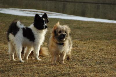 Feb12b_05_091.JPG