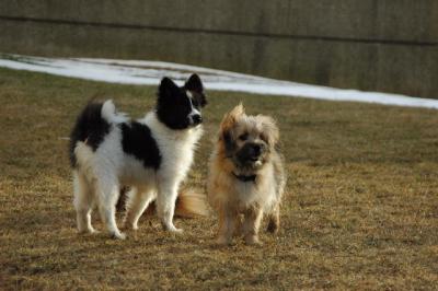 Feb12b_05_092.JPG