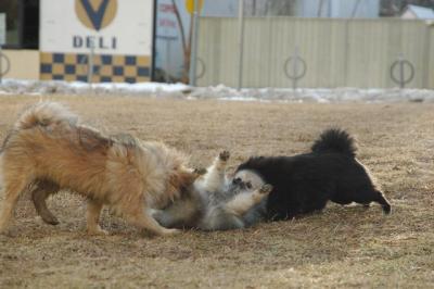 Feb12b_05_093.JPG