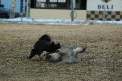 Feb12b_05_094.JPG
