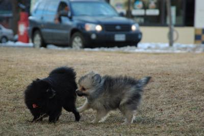 Feb12b_05_095.JPG