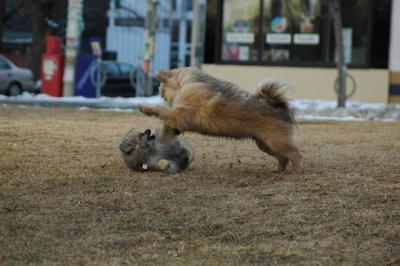 Feb12b_05_096.JPG