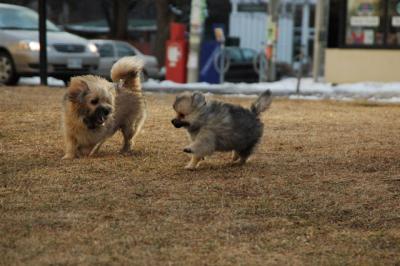 Feb12b_05_097.JPG