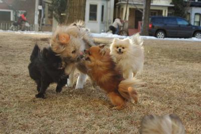 Feb12b_05_102.JPG