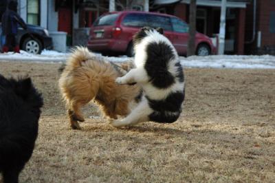 Feb12b_05_103.JPG