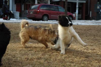 Feb12b_05_104.JPG