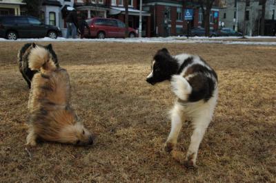 Feb12b_05_105.JPG
