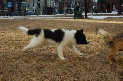 Feb12b_05_106.JPG