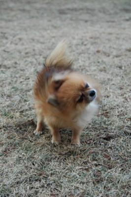 Feb12b_05_107.JPG