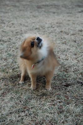 Feb12b_05_108.JPG