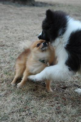 Feb12b_05_109.JPG