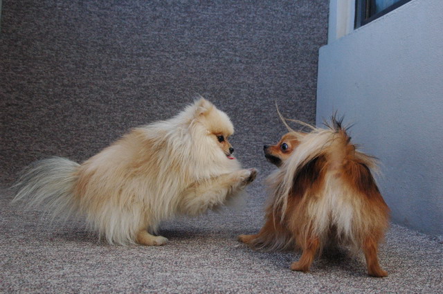 Feb13_05_090.JPG