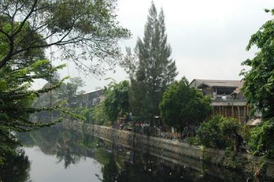 u45/bmcmorrow/medium/33783983.jakarat182.jpg