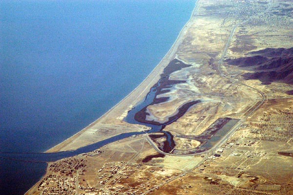 Unusual Arabian mangroves at Kalba, south of Fujairah, UAE