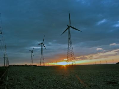 Windmills at Sunset