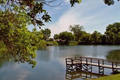 Municipal Pond 4