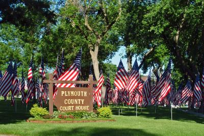Courthouse Sign and Veteran Flags