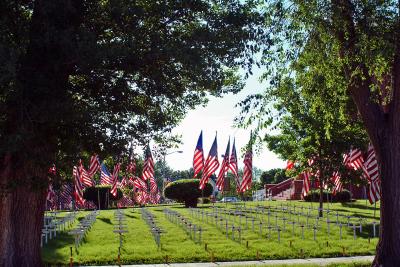 Veterans' Flags and Symbolic Crosses