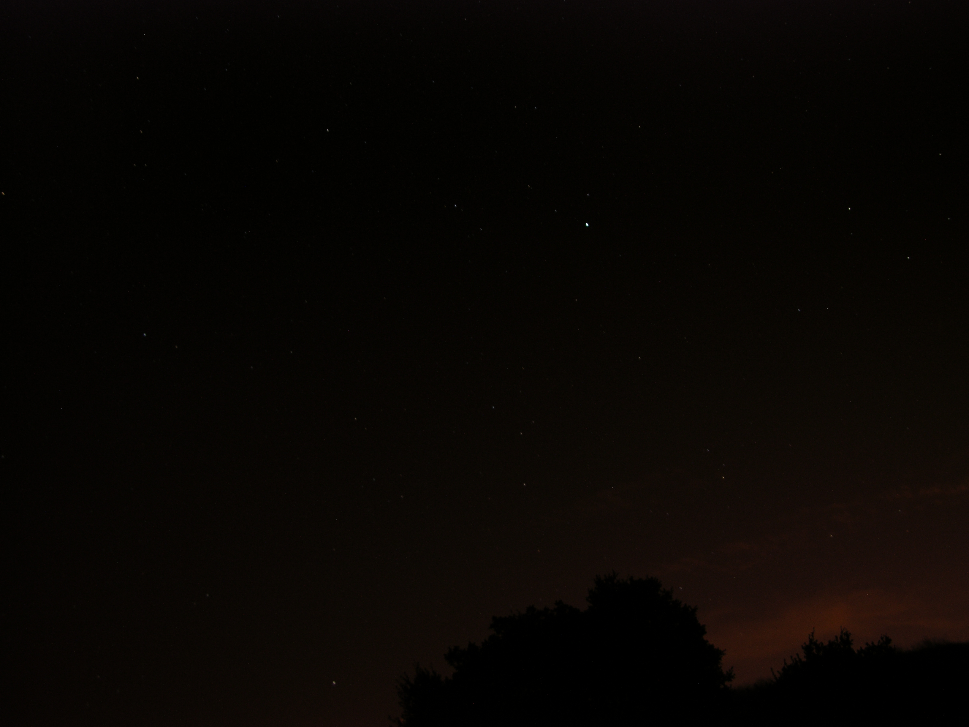DSCN0493.JPG