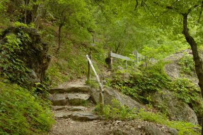 u45/brenda_b/medium/29533559._DSC1760.jpg