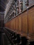 Albi: cathedral choir - stalls
