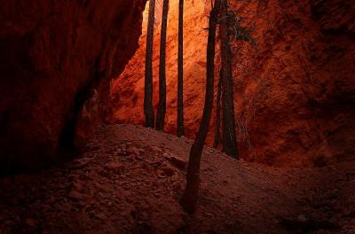 Shadowy Canyon in Bryce 1