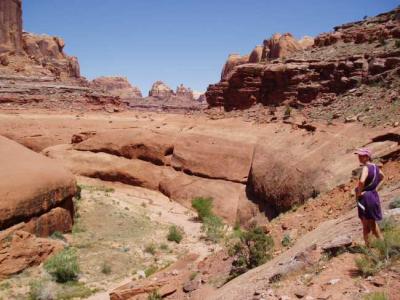 Stevens canyon in wild dry hot country