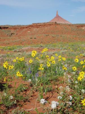 sixshooter pk near canyonlands utah