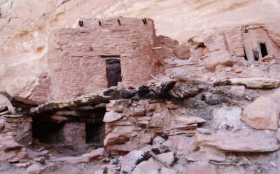 anasazi ruins in grand gulch utah