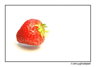 strawberry 2 copy.jpg