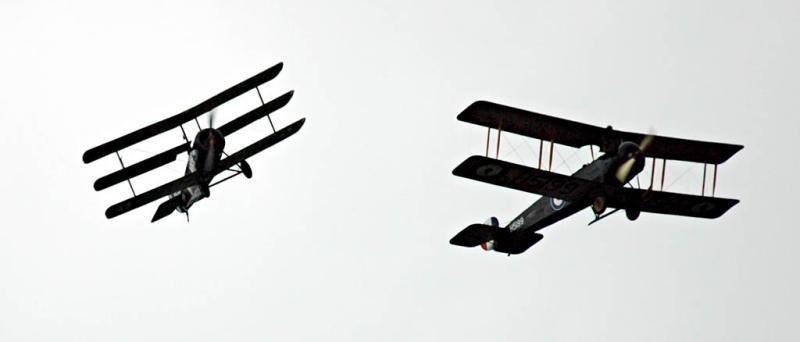 DSC_0731_ps.jpg