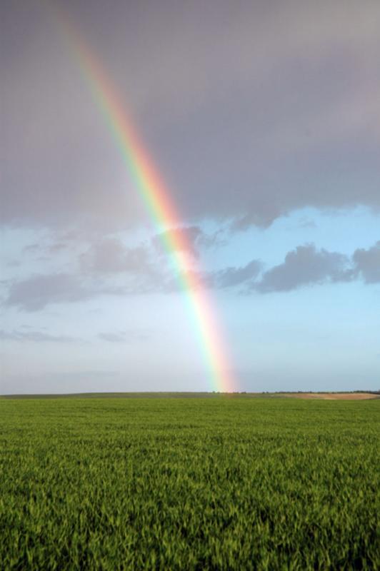 DSC_0469_ps.jpg