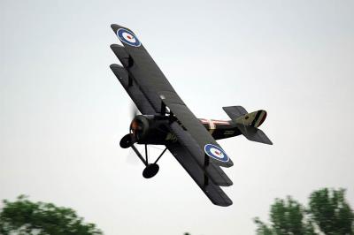 DSC_0724_ps.jpg