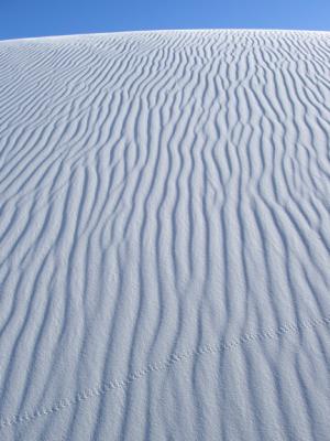 Wind-carved Ripples