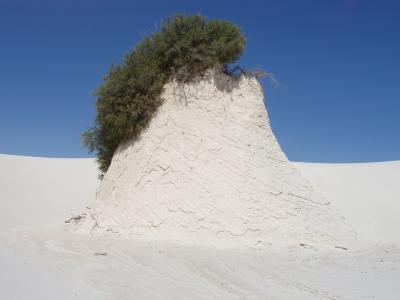 Giant  white sand pedestal
